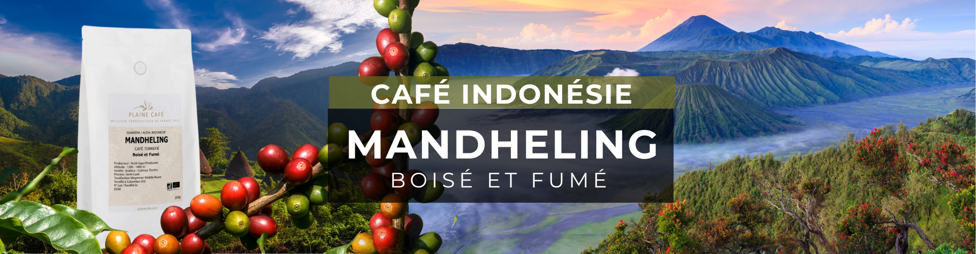 Indonésie Mandheling